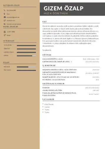 Müzik Öğretmeni Cv Örnekleri cv indir